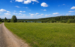 Фото участка № 48 площадью 24,35 сот. в деревне Горохово Эко