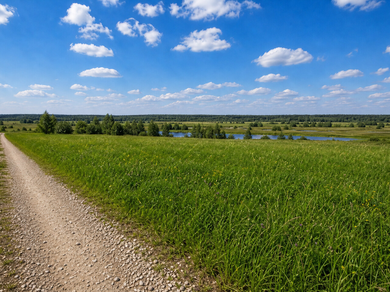 Участок № 32 площадью 45,99 сот. в деревне Дмитриевское - фото 1