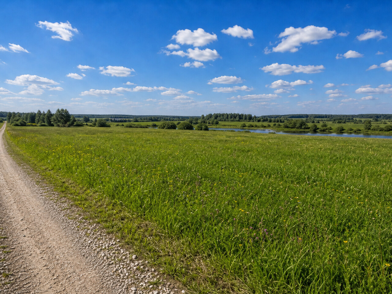 Участок № 33 площадью 46,07 сот. в деревне Дмитриевское - фото 1