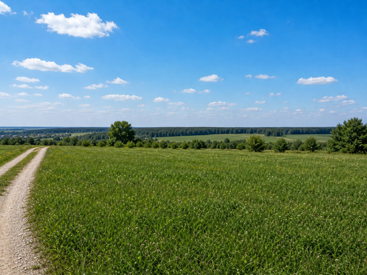 Участок № 55 площадью 17,00 сот. в поселке Нечаево - фото 1