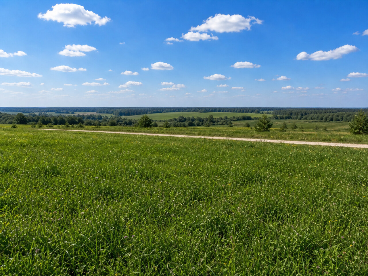 Участок № 73 площадью 15,37 сот. в поселке Нечаево - фото 1