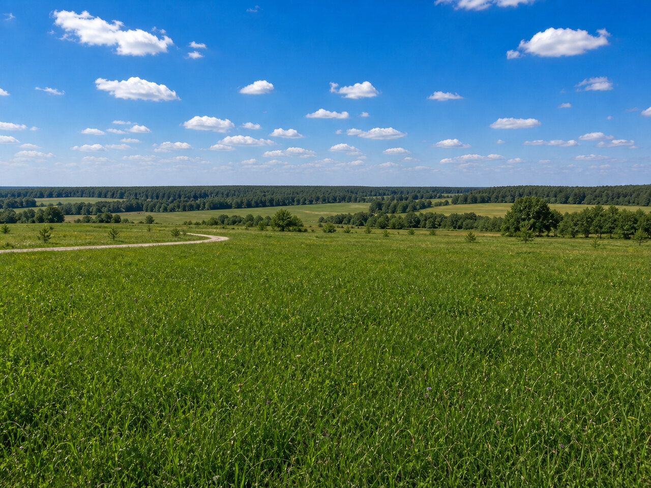 Участок № 97 площадью 12,00 сот. в поселке Нечаево - фото 1