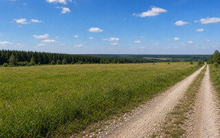Фото участка № 10 площадью 135,58 сот. в поселке Агропарк Добрый
