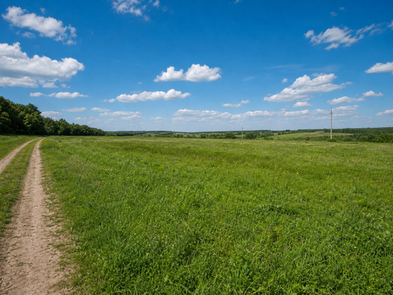 Участок № 17 площадью 100,00 сот. в поселке Агропарк Добрый - фото 1