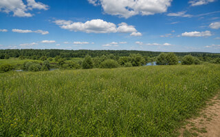 Фото участка № 18 площадью 134,42 сот. в поселке Агропарк Добрый