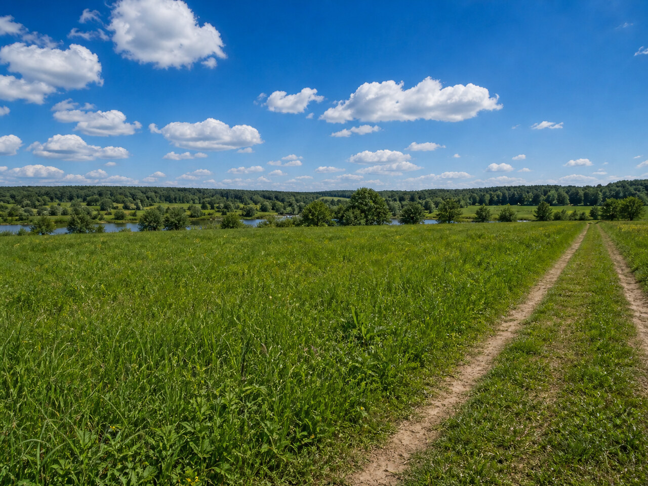 Участок № 21 площадью 100,00 сот. в поселке Агропарк Добрый - фото 1