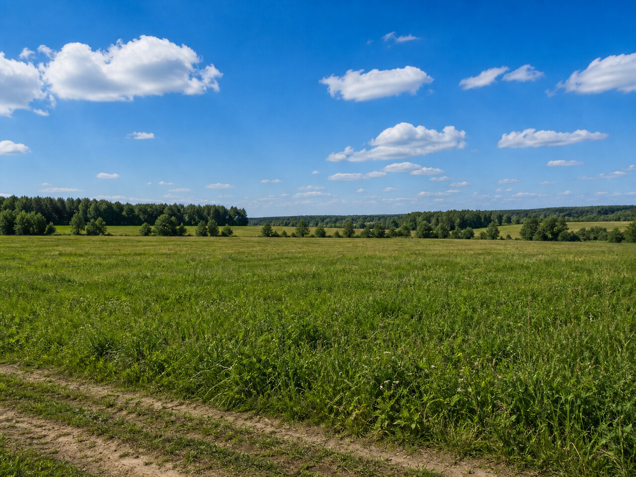 Участок № 25 площадью 143,50 сот. в поселке Агропарк Добрый - фото 1