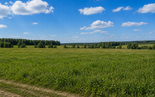 Фото участка № 25 площадью 143,50 сот. в поселке Агропарк Добрый
