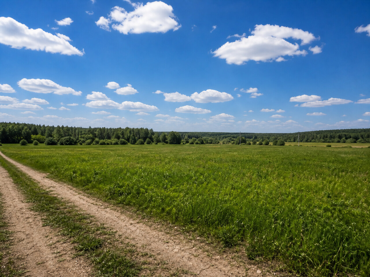 Участок № 26 площадью 121,53 сот. в поселке Агропарк Добрый - фото 1