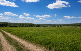 Фото участка № 26 площадью 121,53 сот. в поселке Агропарк Добрый