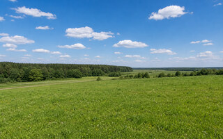 Фото участка № 29 площадью 121,45 сот. в поселке Агропарк Добрый