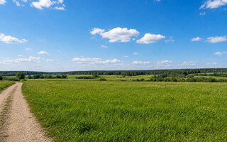 Фото участка № 32 площадью 133,18 сот. в поселке Агропарк Добрый