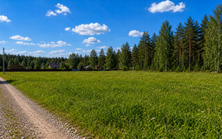 Фото участка № 181 площадью 21.29 сот. в поселке Земляничное