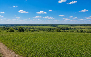 Фото участка № 33 площадью 12,90 сот. в поселке Бутиково