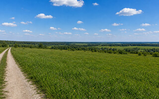 Фото участка № 45 площадью 10,90 сот. в поселке Бутиково