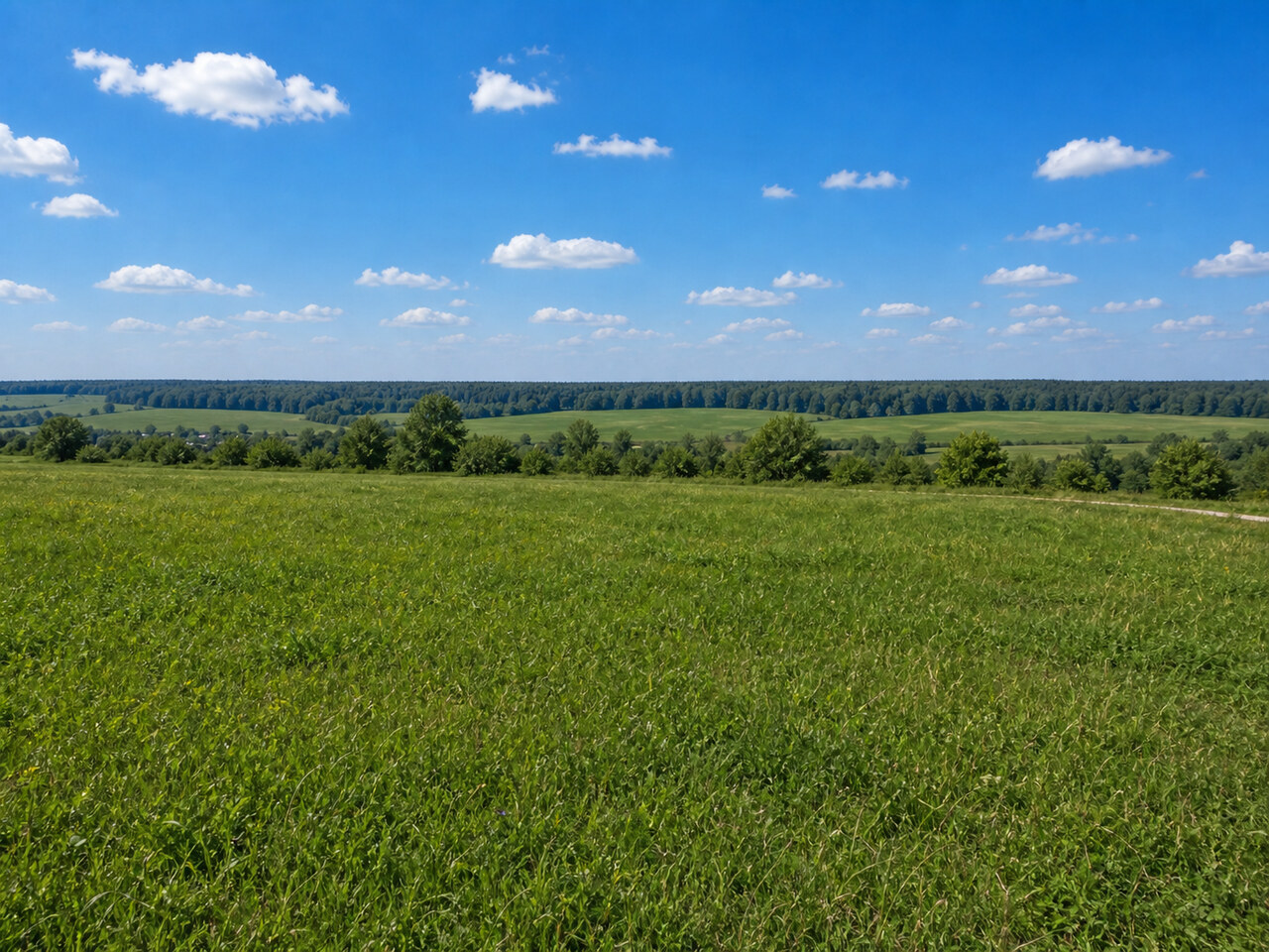 Участок № 48 площадью 15,97 сот. в поселке Бутиково - фото 1