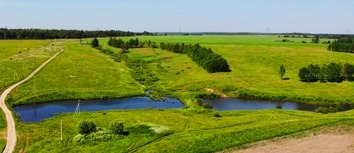 Дмитриевское