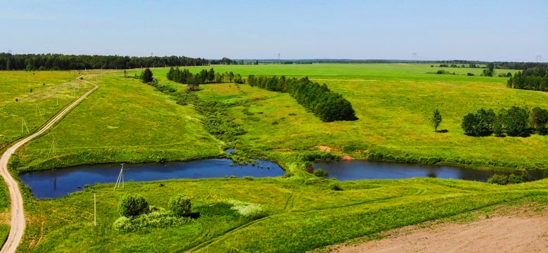 Дмитриевское