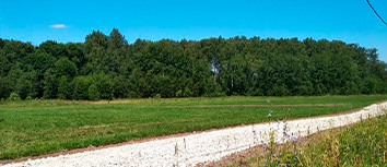 Елькино Елькино