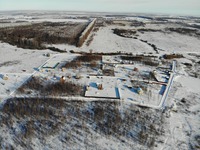 Незабудкино Незабудкино