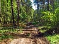 На Оке На Оке