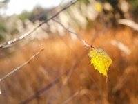 На Оке На Оке