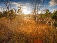 На Оке На Оке