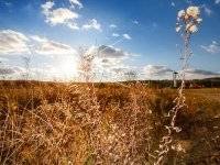 На Оке На Оке