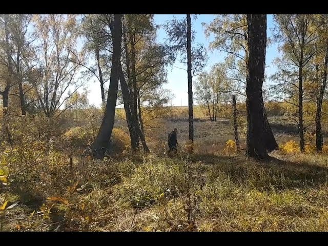 Во время прогулки по поселку Земляничное обнаружили лешего =)