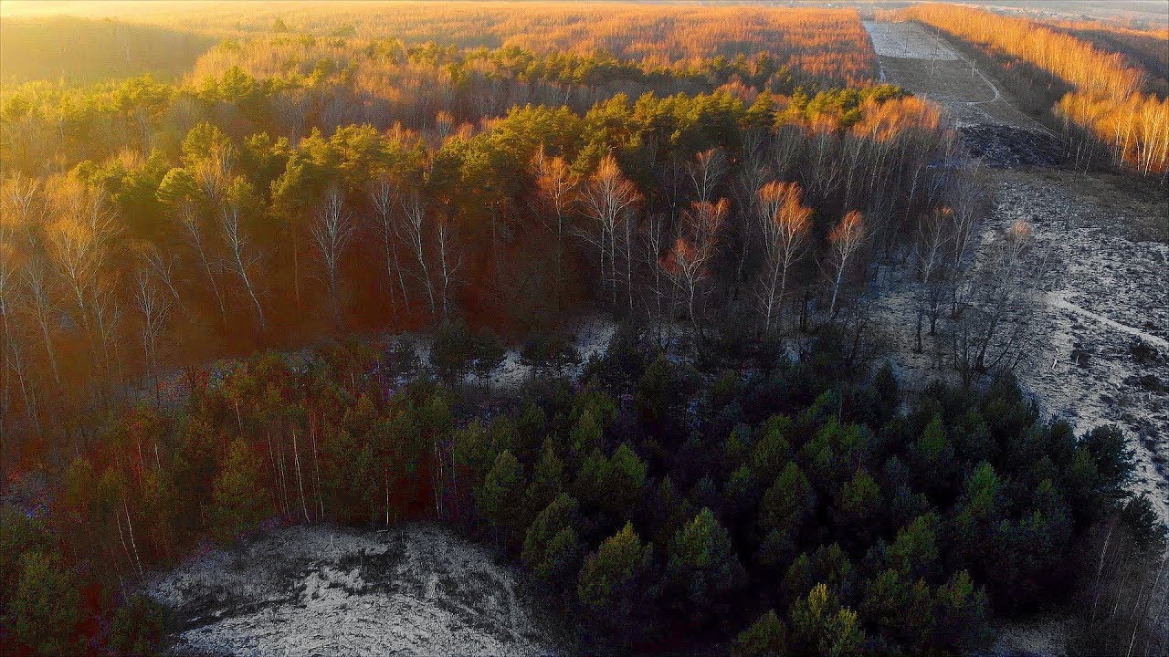 Купить участки в подмосковье в деревне Пашково эко