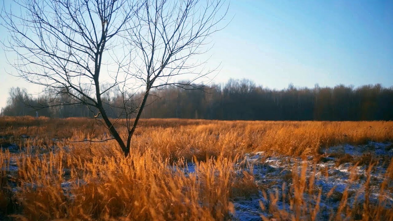 Поселок Теряево - участки у воды и леса