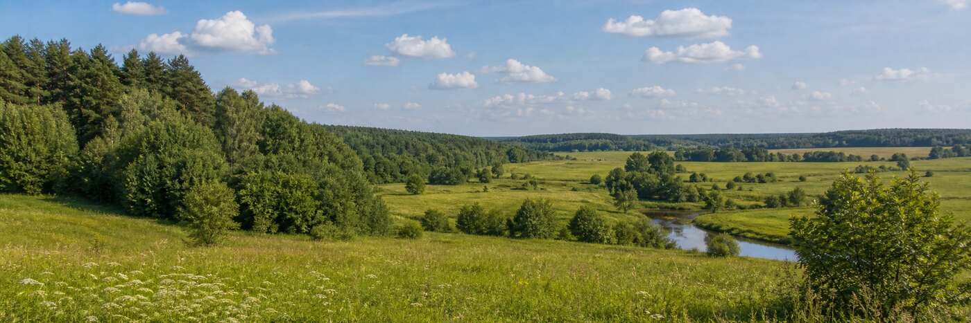 Деревня Чегодаево: Экология