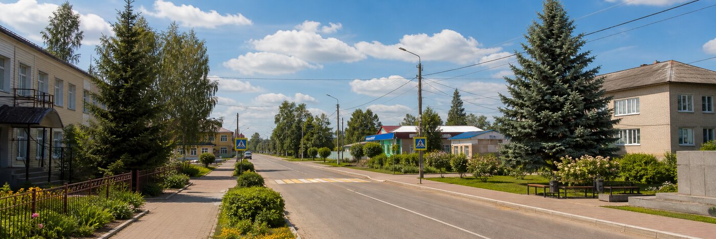 Деревня Кошкино: Инфраструктура