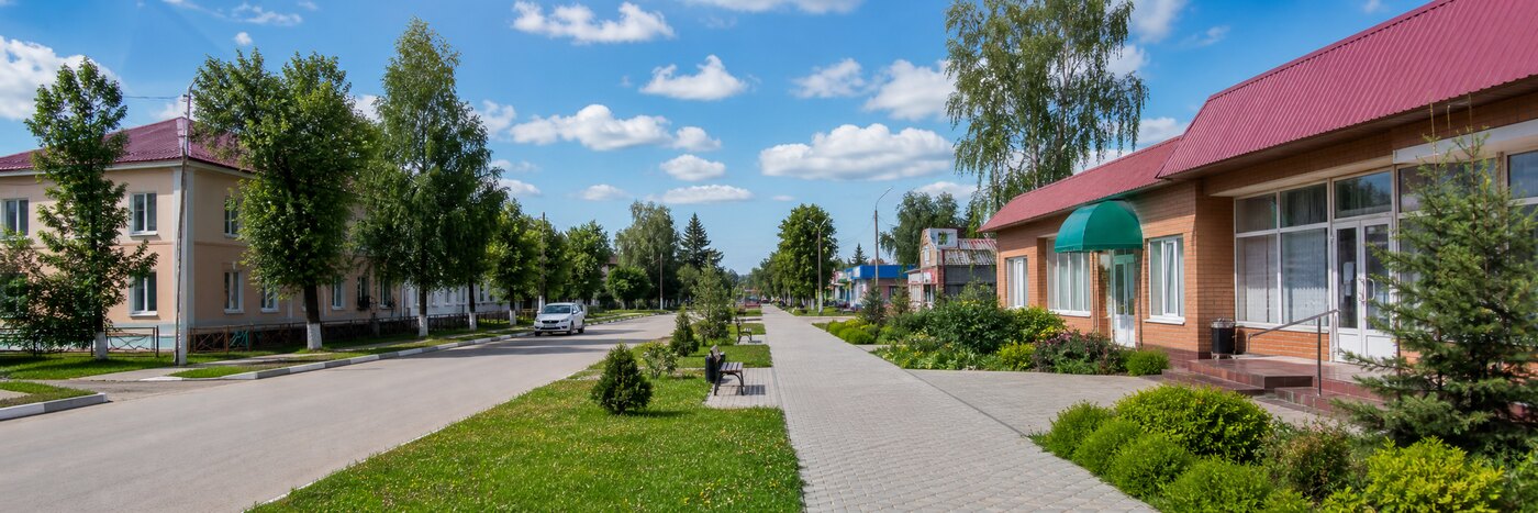 Деревня Мышенки: Инфраструктура
