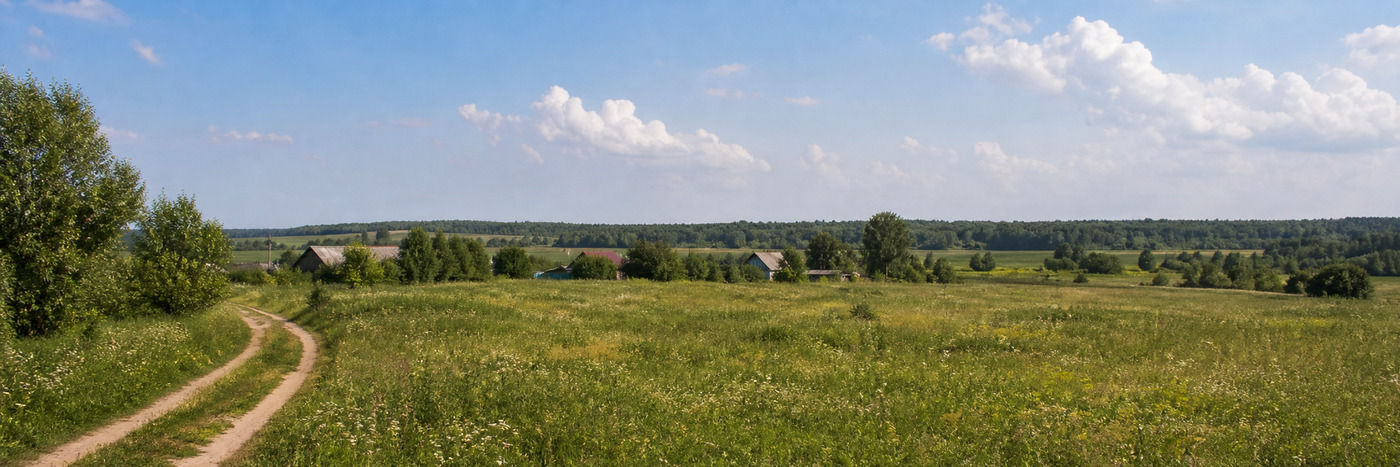 Деревня Нечаевские выселки в Тульской области