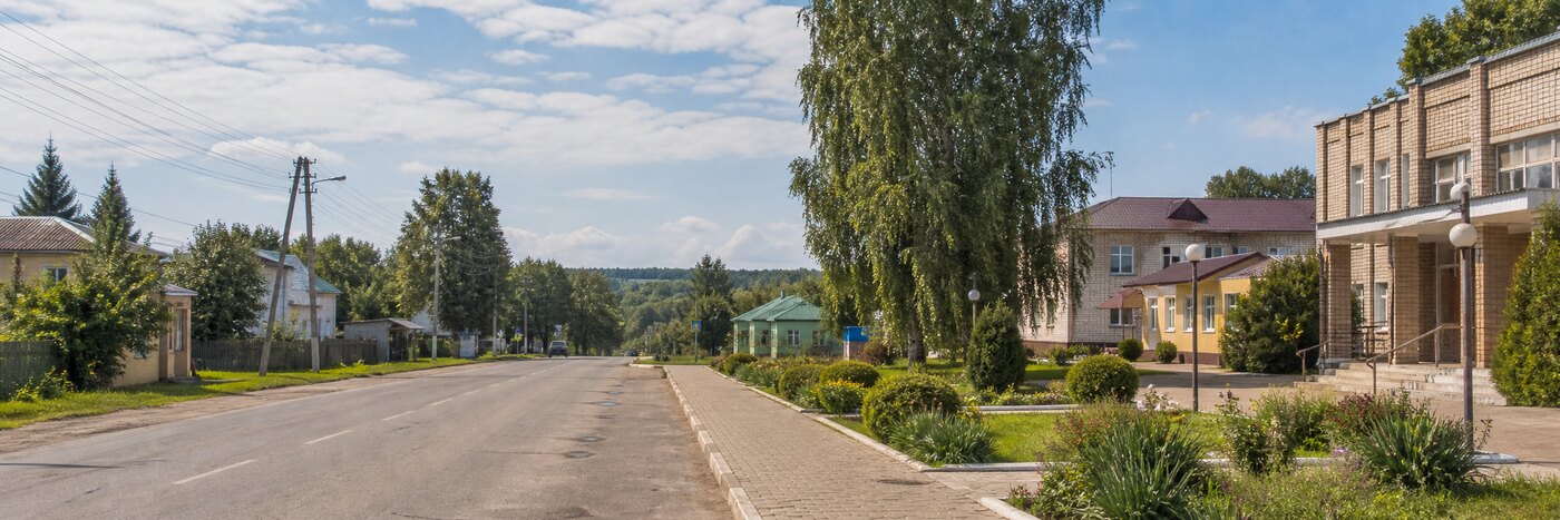 Деревня Рязаново: Инфраструктура