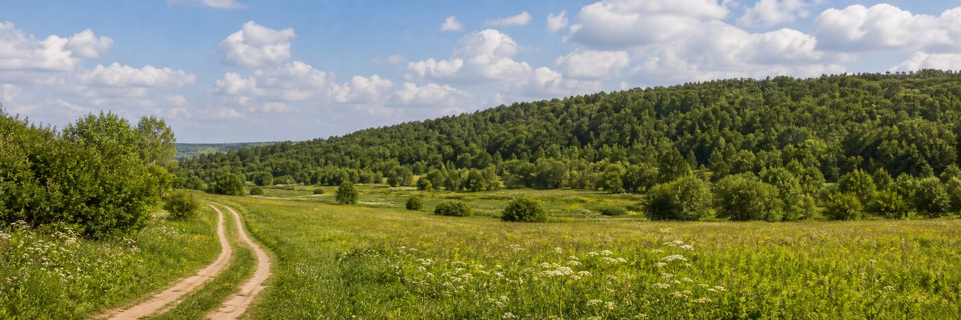 Деревня Рождествено: Экология