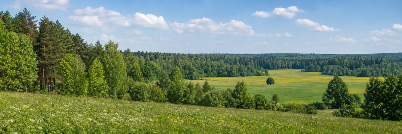 Поселок Сосновый: Экология