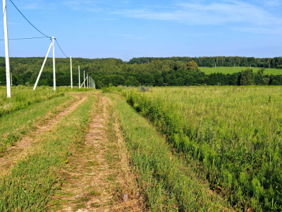 Участок 14 соток для размеренного дачного отдыха.