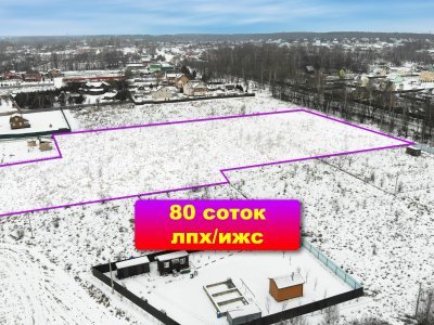 Интересный большой участок с асфальтовым подъездом в жилой деревне.