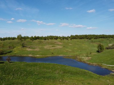 Продается большой участок в деревне Сухотино.