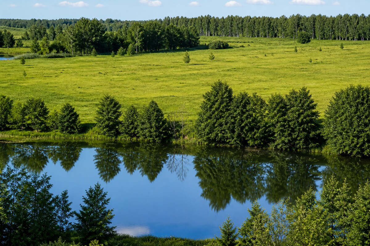 Продается участок в деревне Знаменский Гектар. Площадь участка – 67 соток. - фото #1