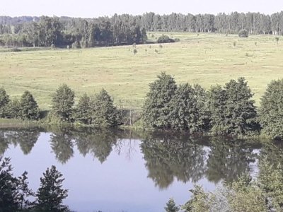 Продается участок в деревне Знаменский Гектар. Площадь участка – 67 соток.