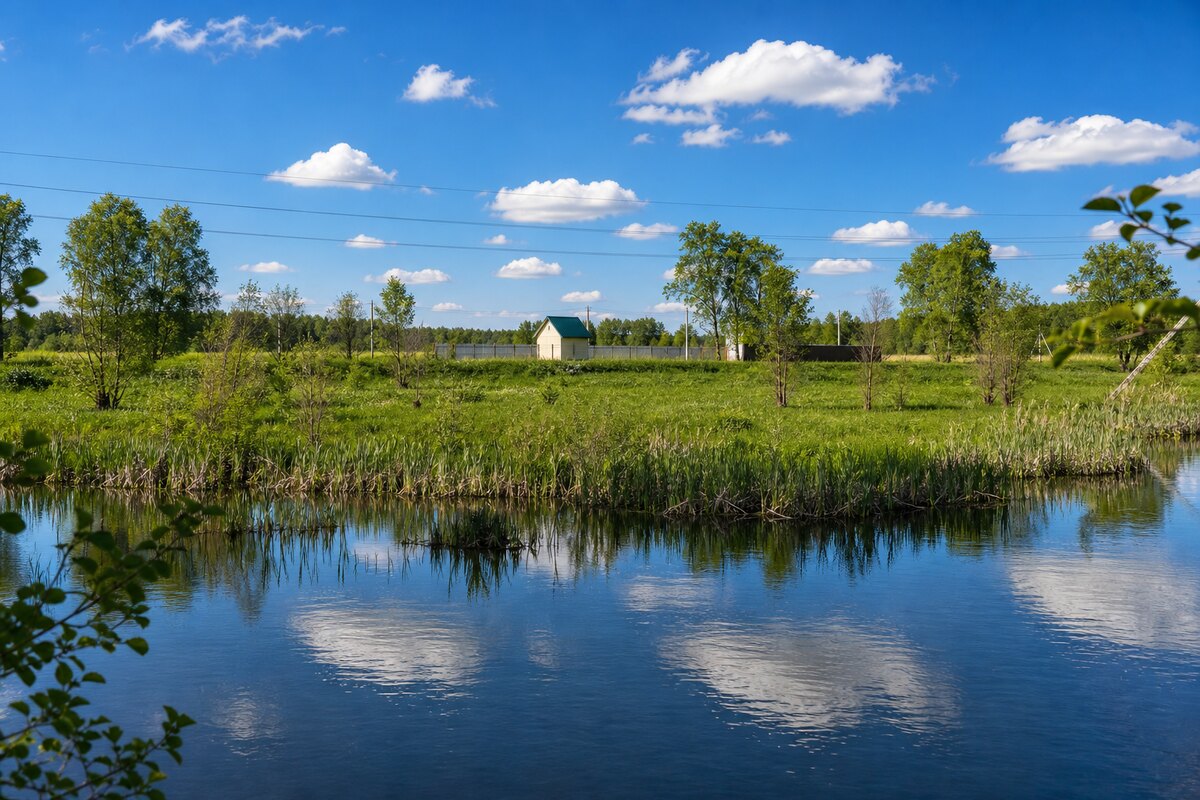 В продаже появился земельный участок площадью 55.57 соток. - фото #1