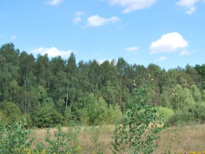 Продается земельный участок 6 соток в Серпуховском районе, Московской области, в деревне Старое.