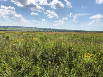 Массив участков ИЖС