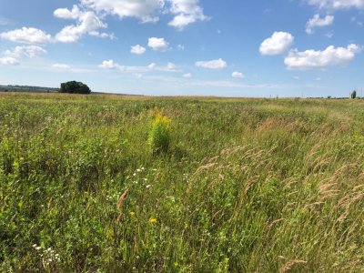 Массив участков ИЖС