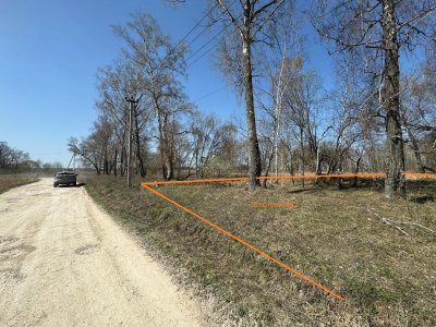 20 соток рядом с лесом!