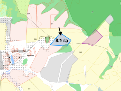 8,1 га ИЖС в черте населенного пункта
