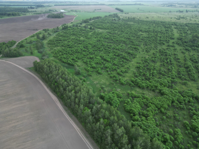 Земельный участок 34 га сельскохозяйственного назначения